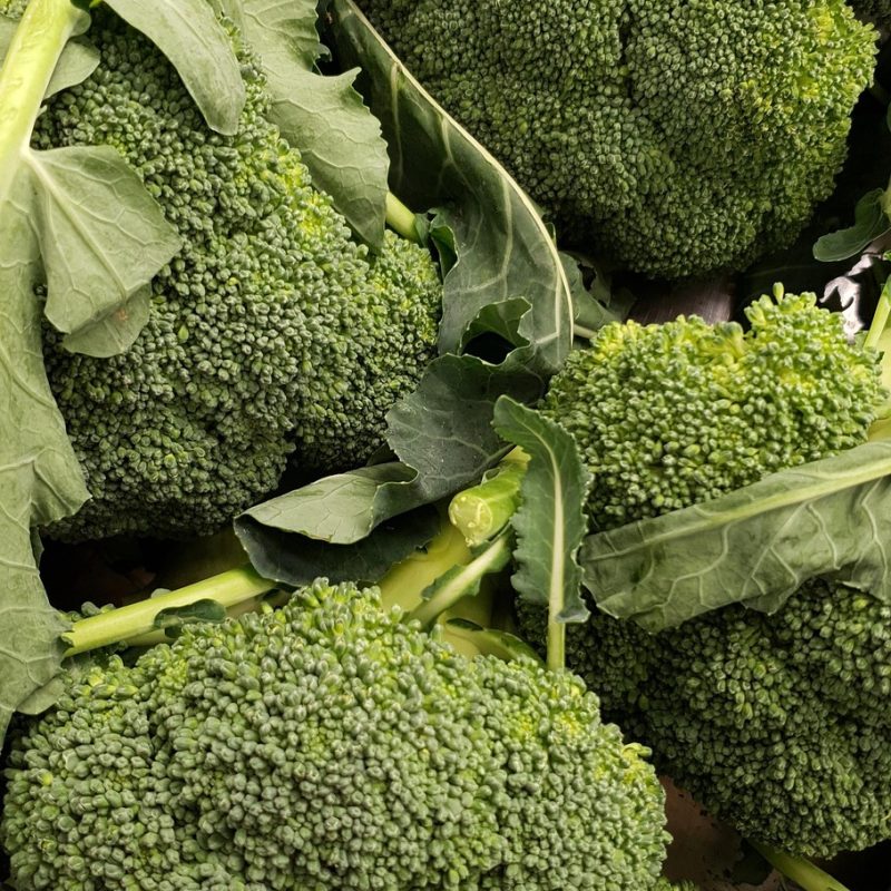 Organic Broccoli