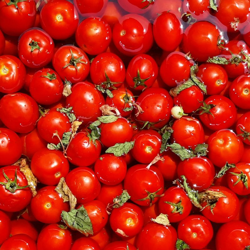 Roma Tomatoes